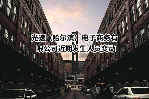 光速（哈尔滨）电子商务有限公司