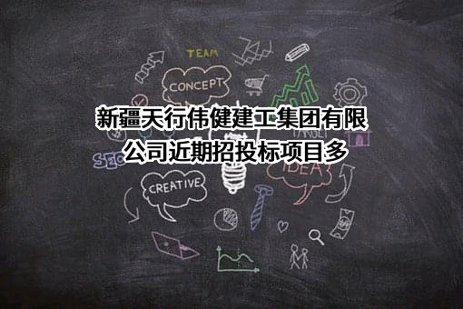 新疆天行伟健建工集团有限公司