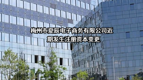 梅州市夏辰电子商务有限公司