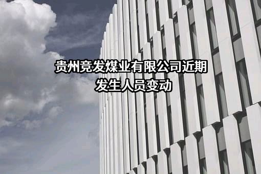 贵州竞发煤业有限公司
