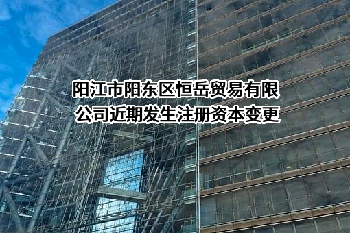 阳江市阳东区恒岳贸易有限公司