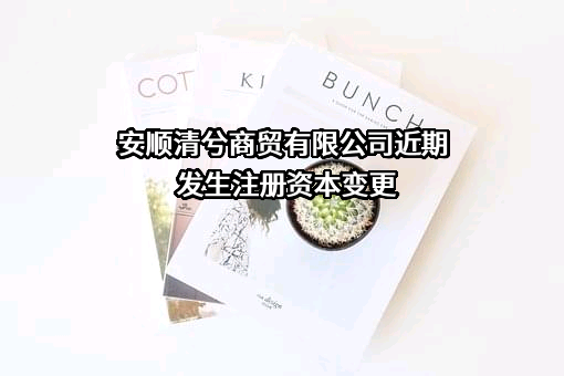 安顺清兮商贸有限公司