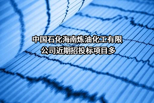 中国石化海南炼油化工有限公司