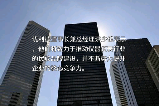 优利德科技（中国）股份有限公司