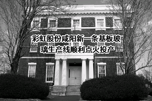 彩虹显示器件股份有限公司