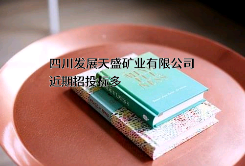 四川发展天盛矿业有限公司