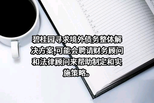 碧桂园控股有限公司