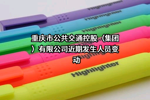 重庆市公共交通控股(集团)有限公司