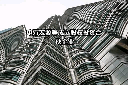 申万宏源集团股份有限公司