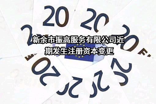 新余市振高服务有限公司