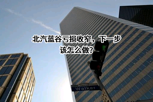北京蓝谷极狐汽车科技有限公司