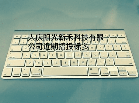 大庆阳光新禾科技有限公司
