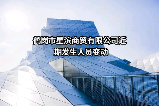 鹤岗市星滨商贸有限公司