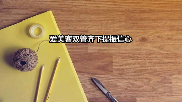 爱美客技术发展股份有限公司