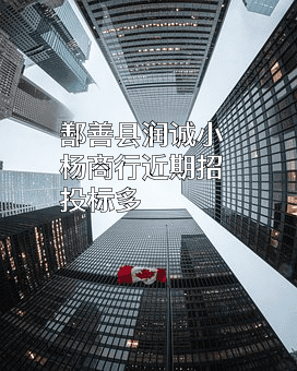 鄯善县润诚小杨商行