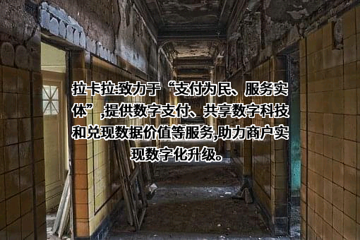 拉卡拉支付股份有限公司