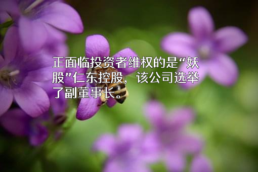 仁东控股股份有限公司