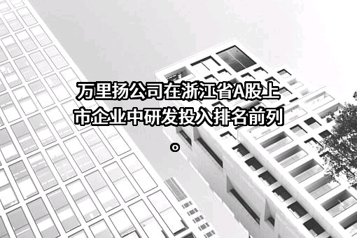浙江万里扬股份有限公司