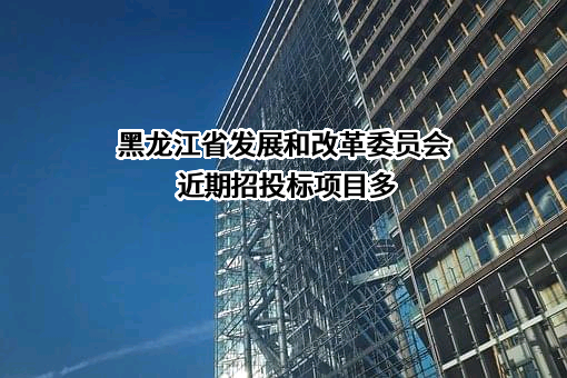 黑龙江省发展和改革委员会近期招投标项目多