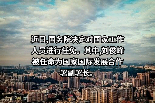 国家国际发展合作署