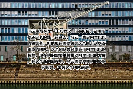 阿里巴巴集团控股有限公司