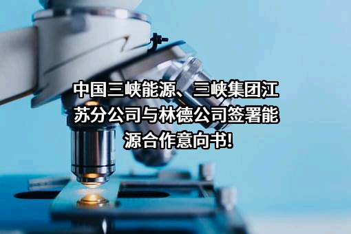 中国三峡新能源（集团）股份有限公司