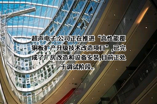 广东汕头超声电子股份有限公司