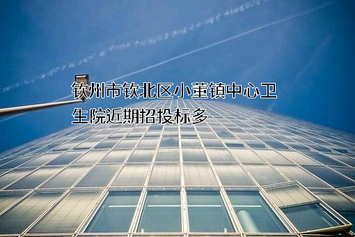 钦州市钦北区小董镇中心卫生院