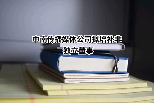 中南出版传媒集团股份有限公司