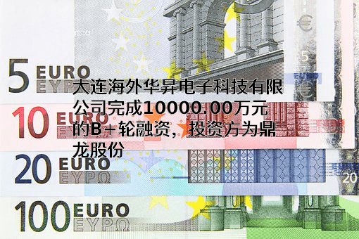 大连海外华昇电子科技有限公司