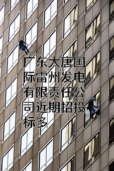 广东大唐国际雷州发电有限责任公司