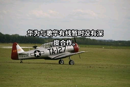 华为技术有限公司