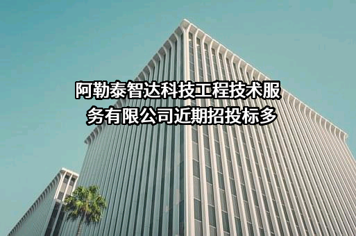 阿勒泰智达科技工程技术服务有限公司