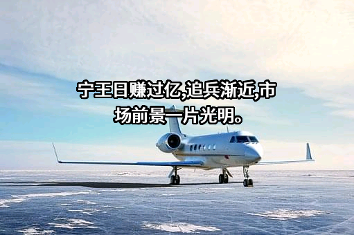 宁德时代新能源科技股份有限公司