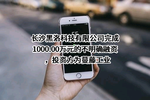 长沙黑洛科技有限公司完成1000.00万元的不明确融资，投资方为蔓藤工业