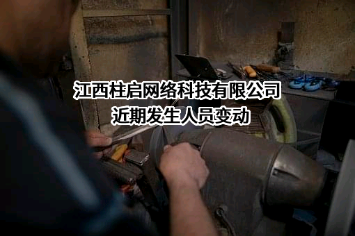 江西柱启网络科技有限公司