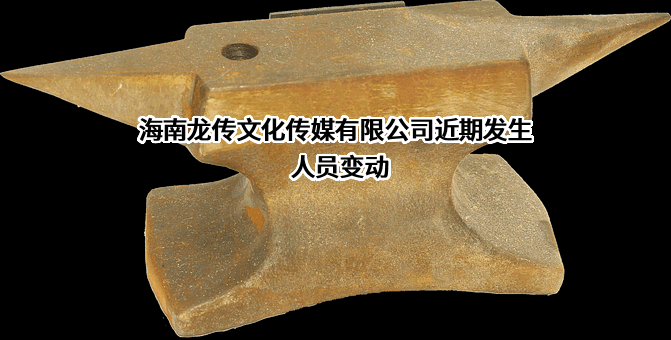 海南龙传文化传媒有限公司