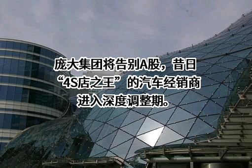 庞大汽贸集团股份有限公司