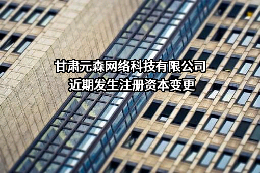 甘肃元森网络科技有限公司