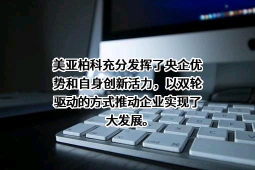 厦门市美亚柏科信息股份有限公司