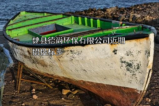 魏县德尚环保有限公司