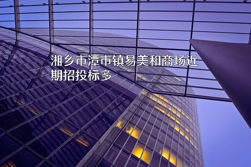 湘乡市潭市镇易美和商场