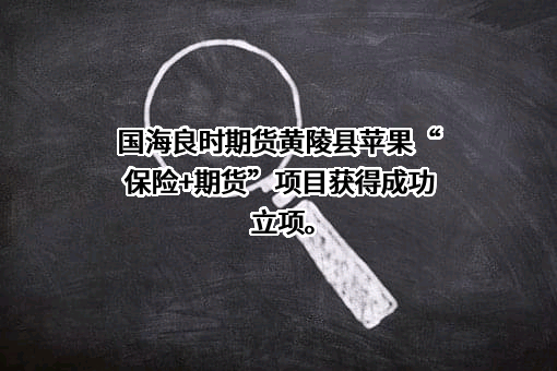 国海良时期货有限公司