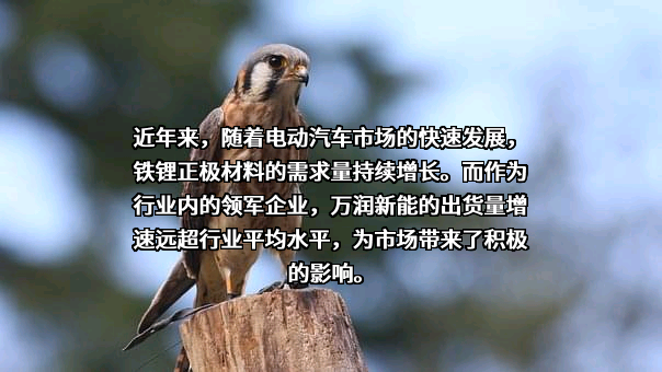 湖北宏迈高科新材料有限公司