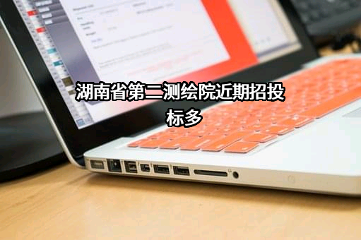 湖南省第二测绘院