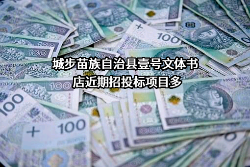 城步苗族自治县壹号文体书店
