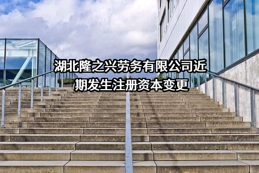 湖北隆之兴劳务有限公司