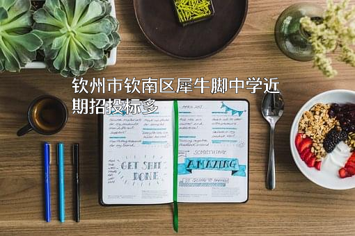钦州市钦南区犀牛脚中学