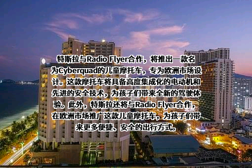 特斯拉（上海）有限公司