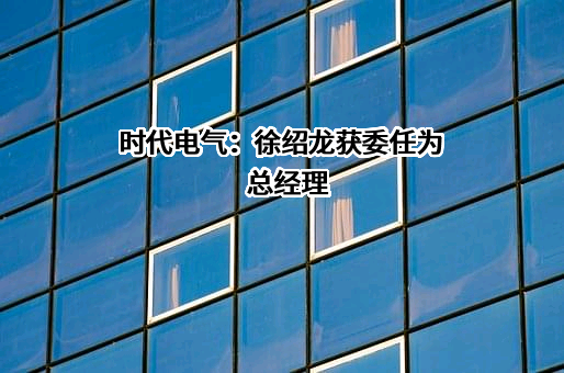 株洲中车时代电气股份有限公司